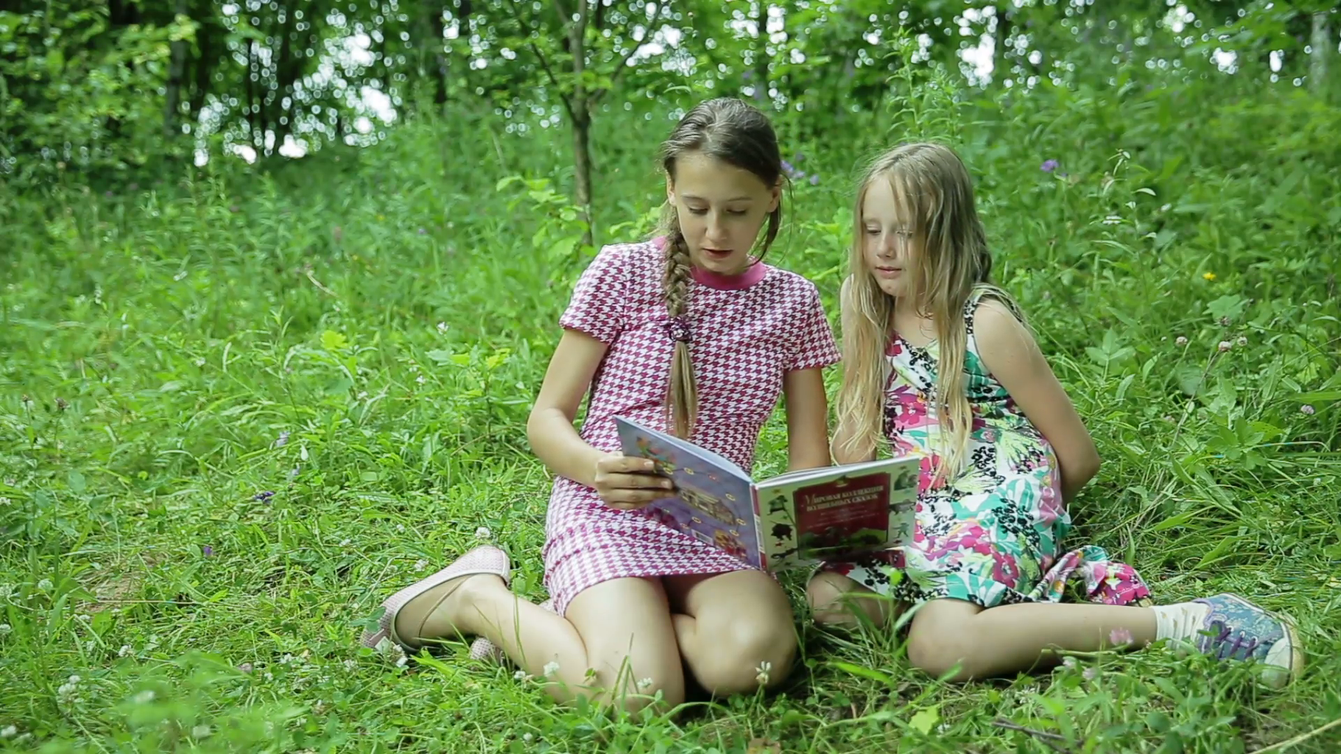 Покажи где молодые девочки. Младшую сестру в лесу. Запретное лето. Старшая сестра домашнее.